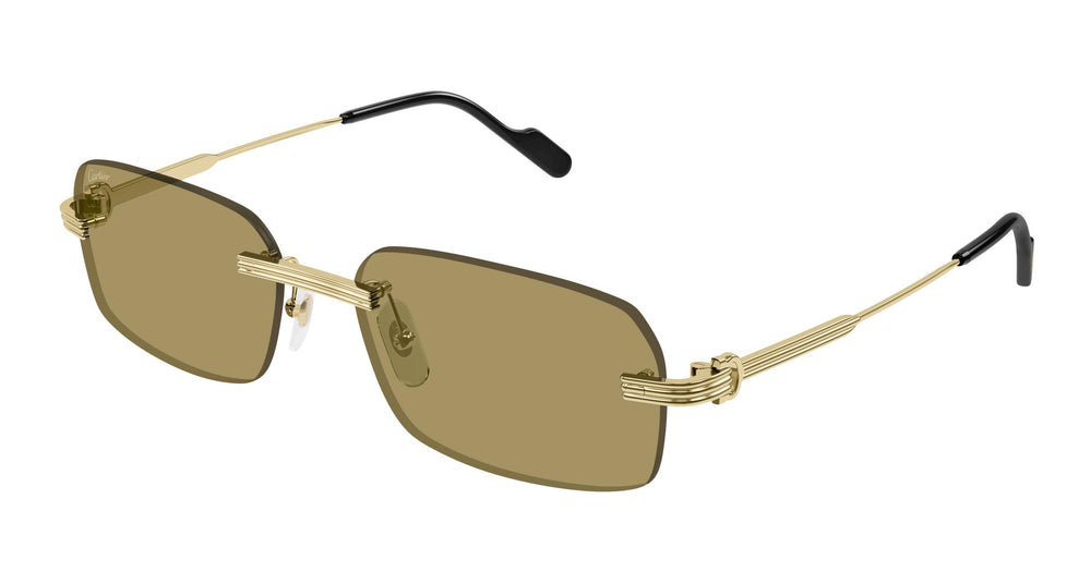 Cartier CT0271S 009 58