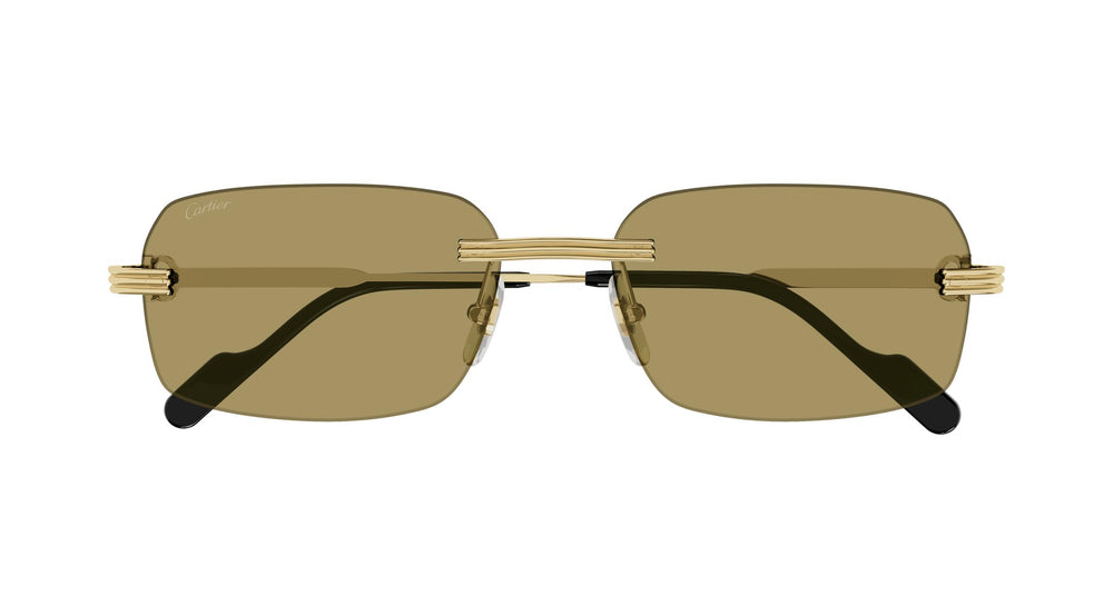 Cartier CT0271S 009 58