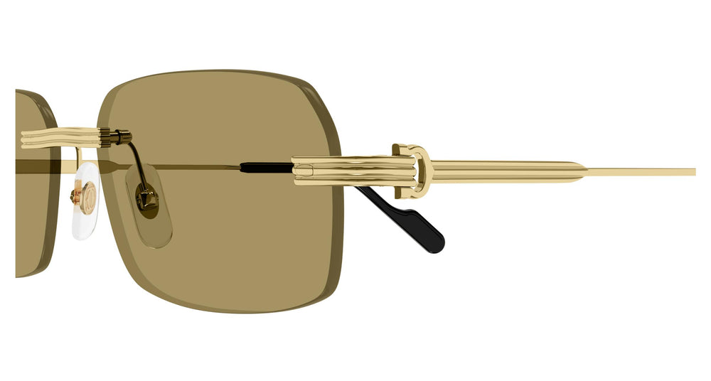 Cartier CT0271S 009 58