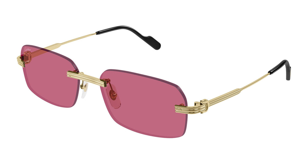 Cartier CT0271S 010 58