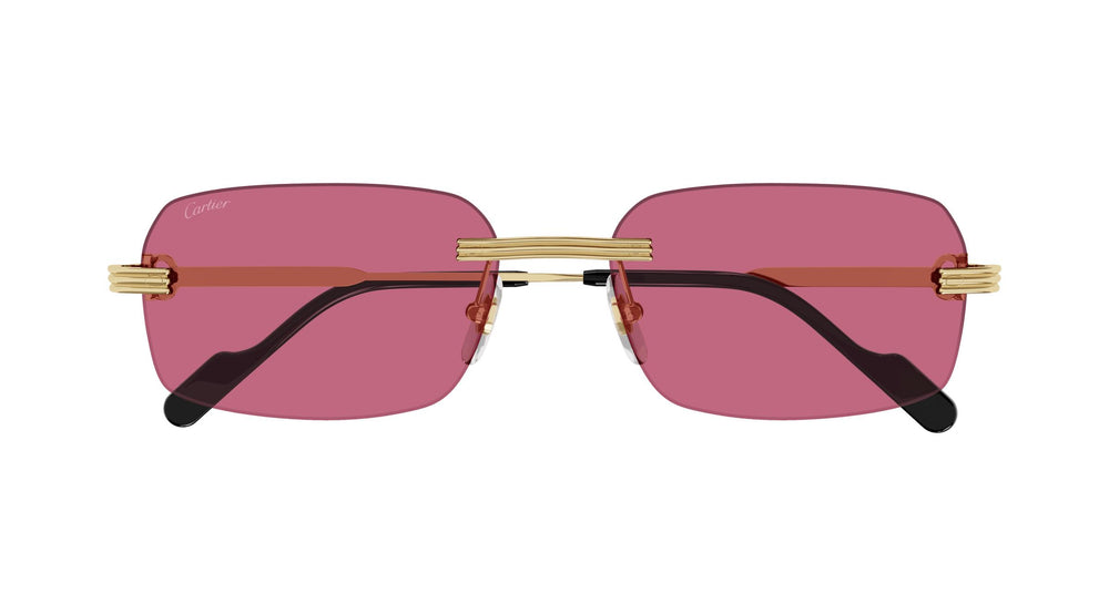 Cartier CT0271S 010 58