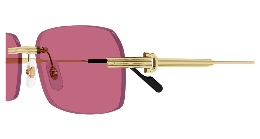 Cartier CT0271S 010 58