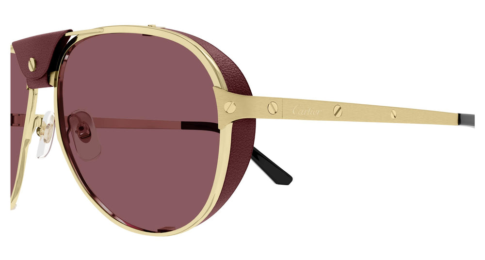 Cartier CT0296S 006 61