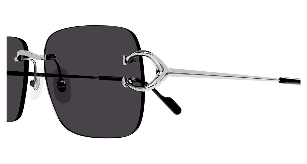 Cartier CT0330S 001 57