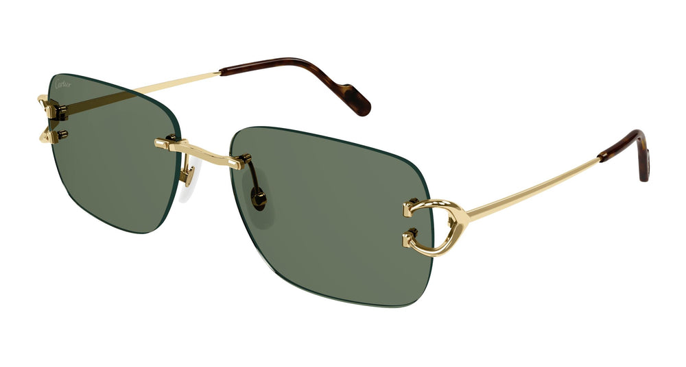 Cartier CT0330S 002 57
