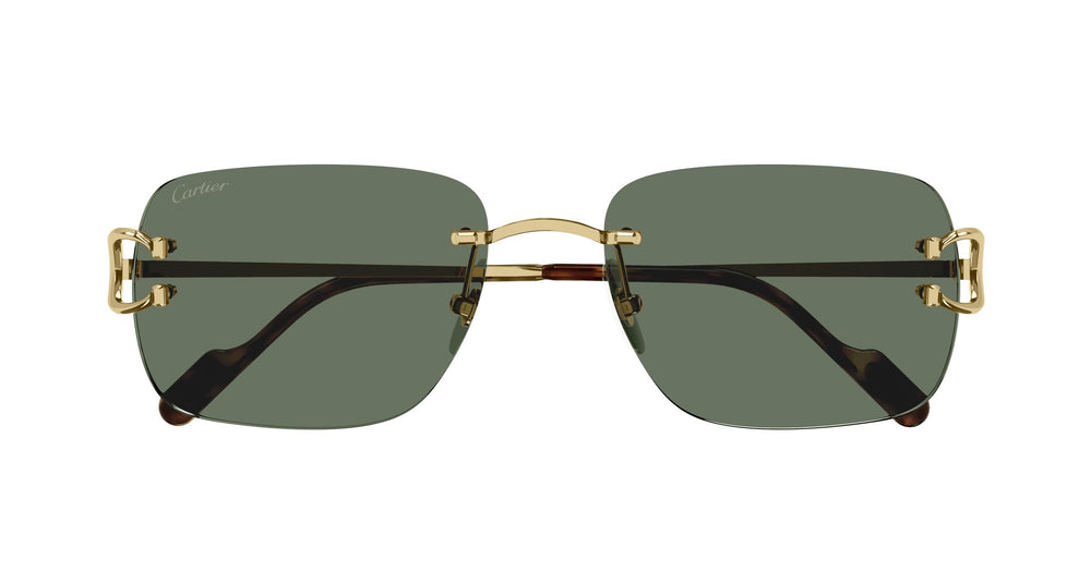 Cartier CT0330S 002 57