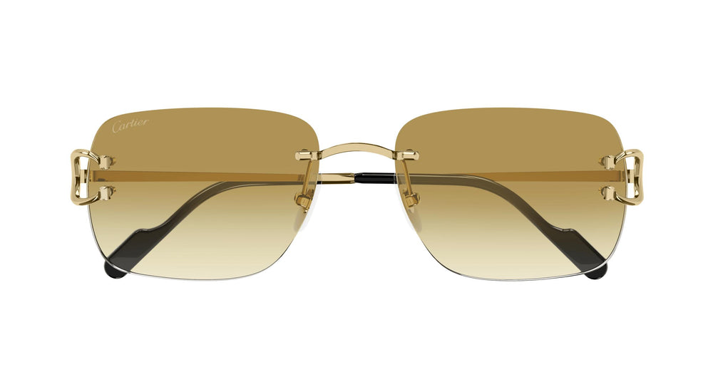 Cartier CT0330S 003 57