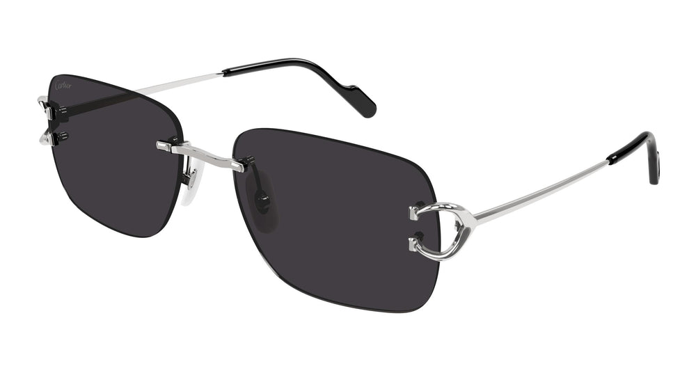 Cartier CT0330S 004 59