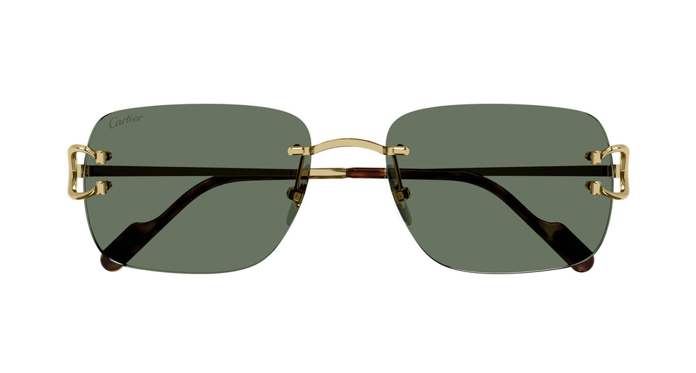 Cartier CT0330S 005 59