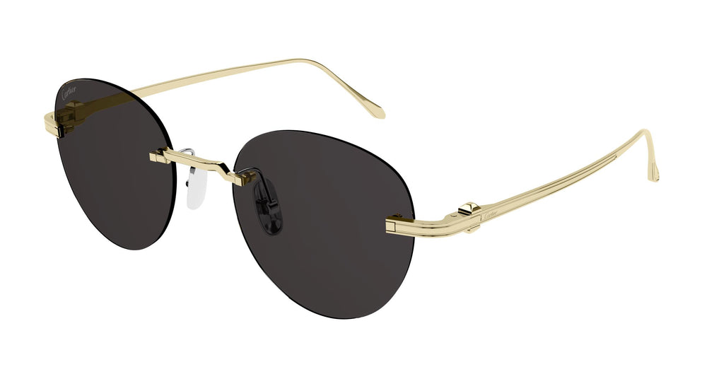 Cartier CT0331S 002 51