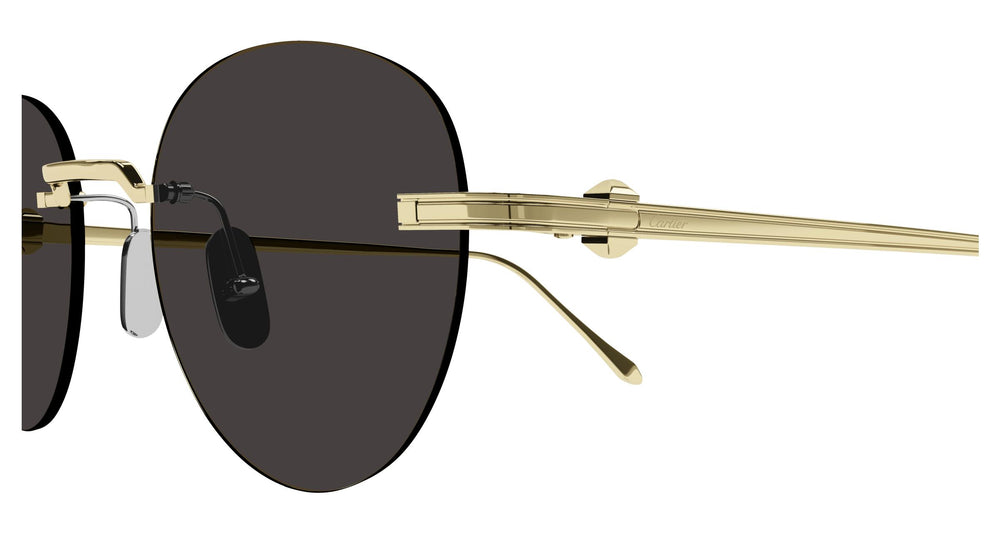 Cartier CT0331S 002 51