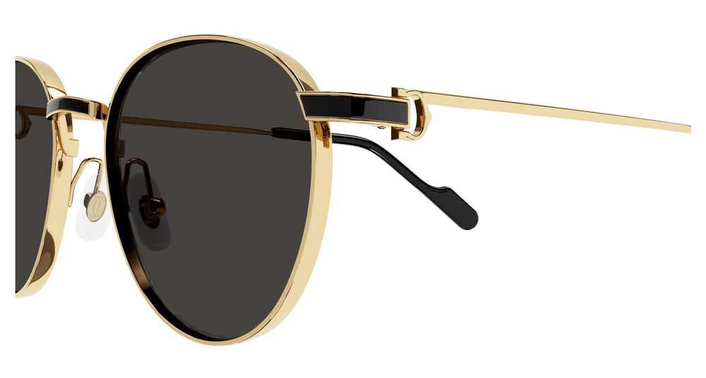 Cartier CT0335S 001 53