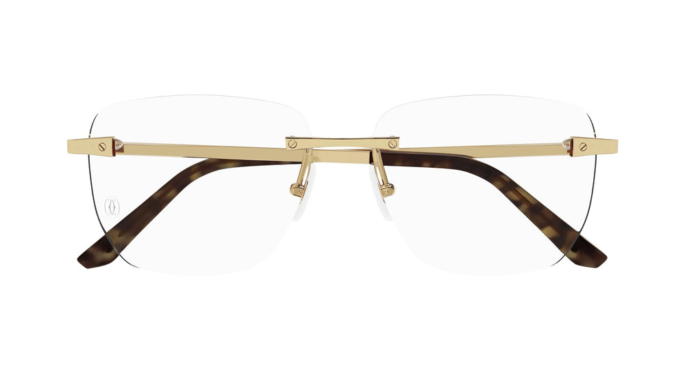Cartier CT0336O 001 58