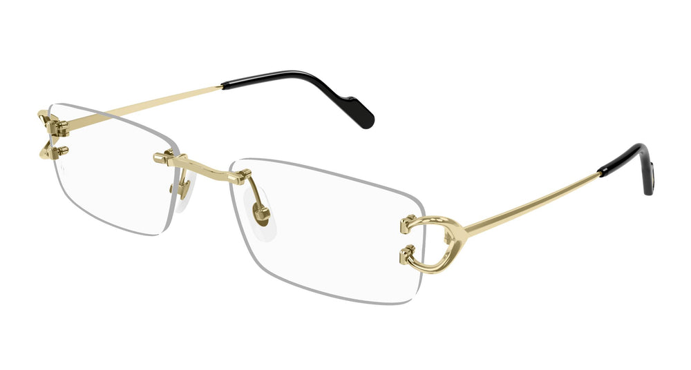 Cartier CT0344O 003 56