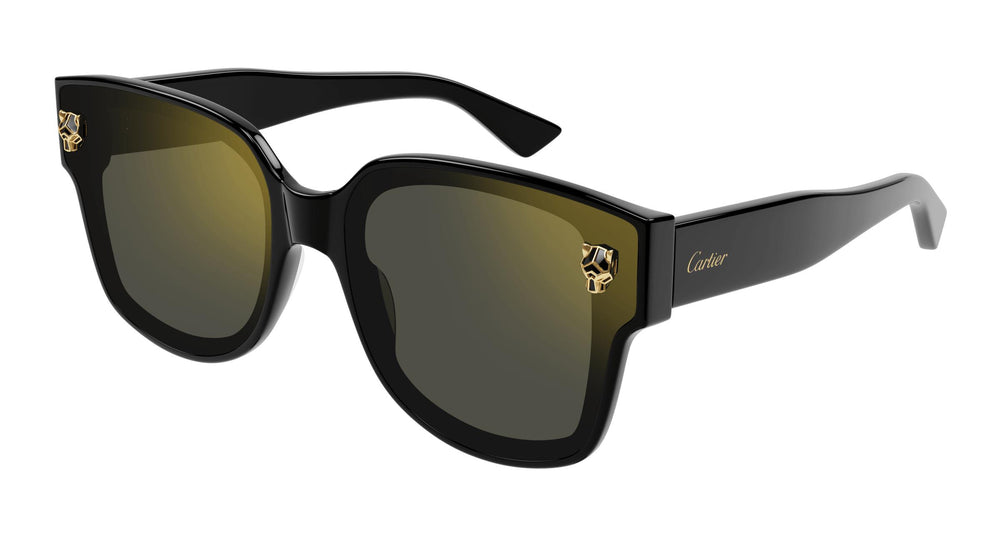 Cartier CT0357S 001 63