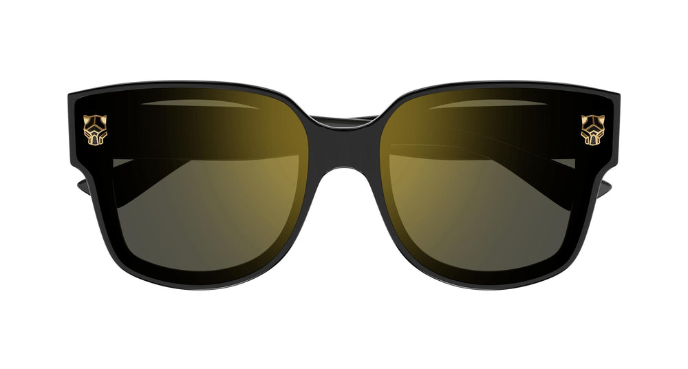 Cartier CT0357S 001 63