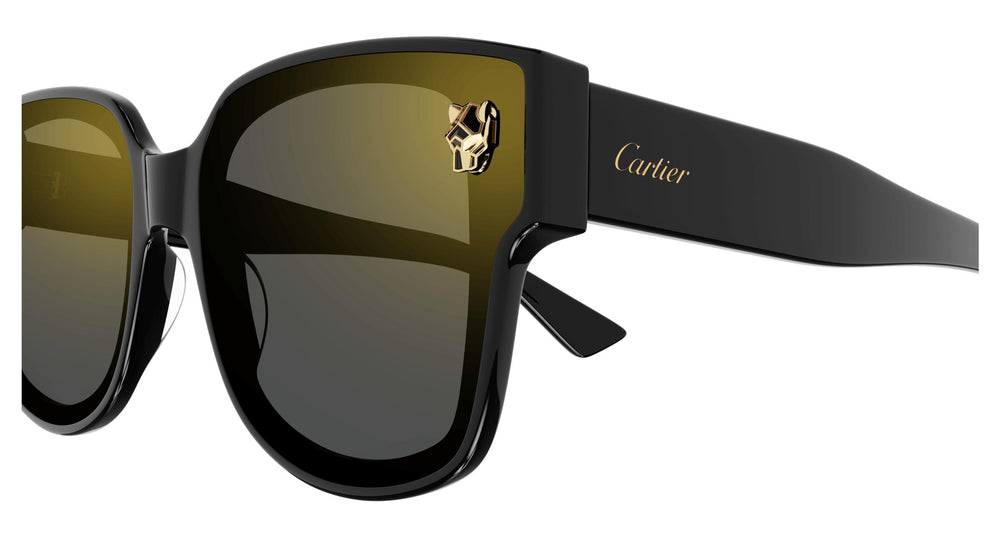 Cartier CT0357S 001 63