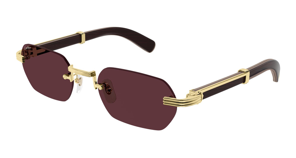 Cartier CT0362S 008 54