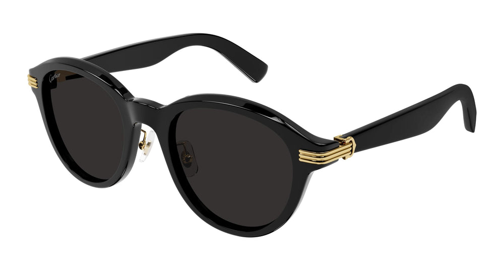 Cartier CT0395SA 001 53