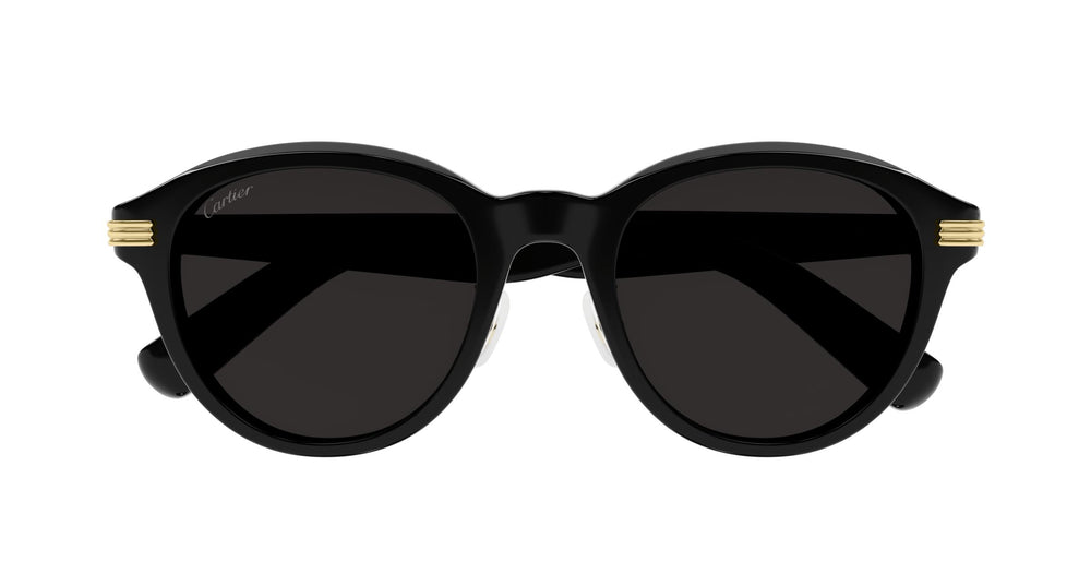 Cartier CT0395SA 001 53