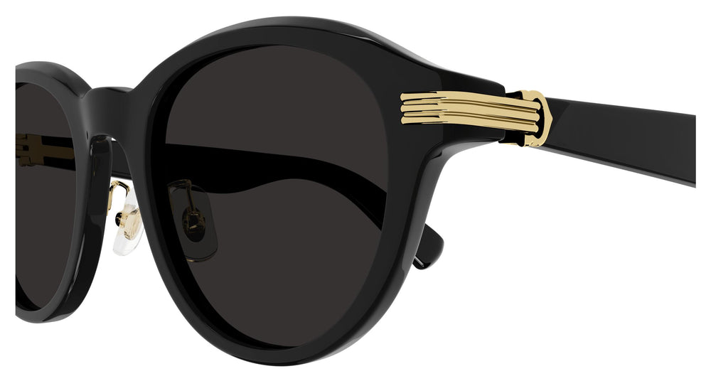 Cartier CT0395SA 001 53