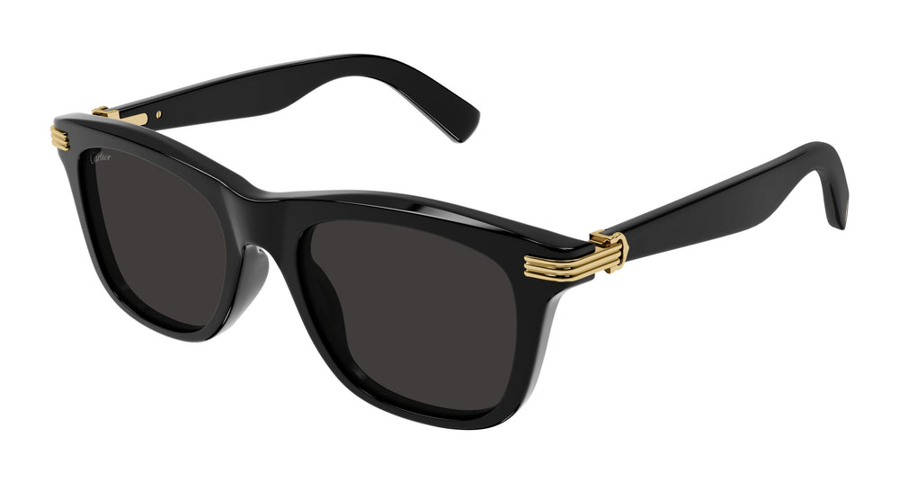 Cartier CT0396S 001 53