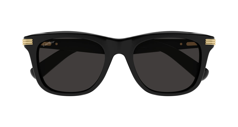 Cartier CT0396S 001 53