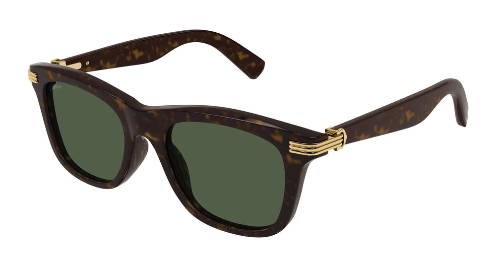 Cartier CT0396S 002 53