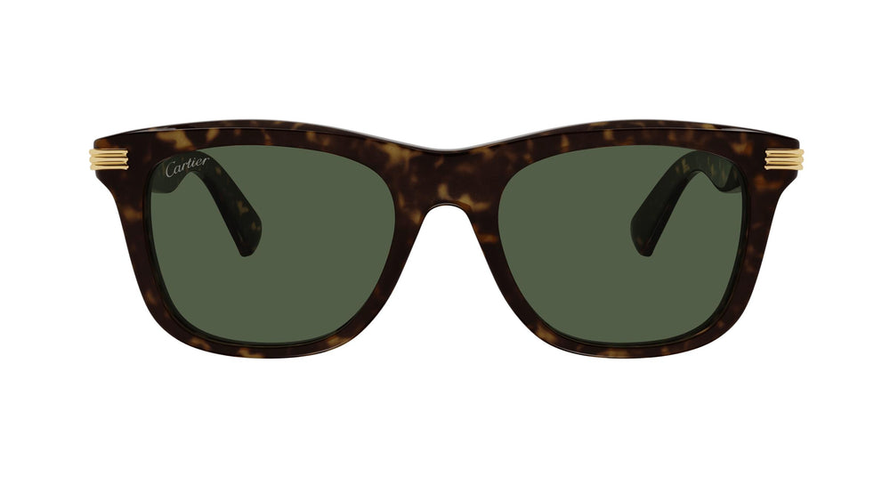 Cartier CT0396S 002 53