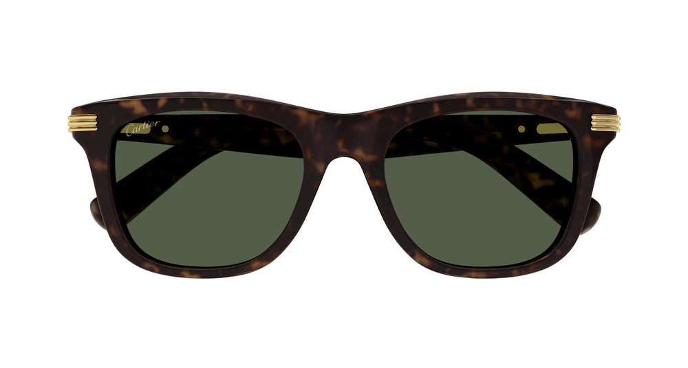 Cartier CT0396S 002 53