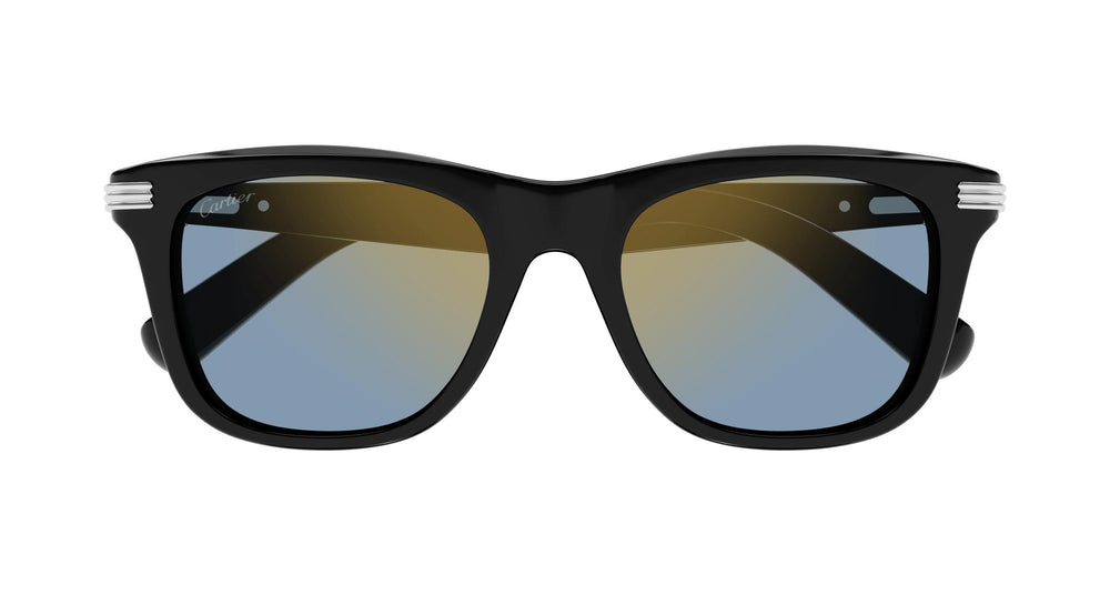 Cartier CT0396S 004 53