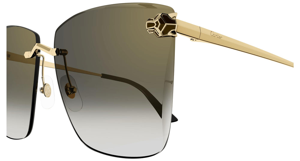 Cartier CT0397S 001 61