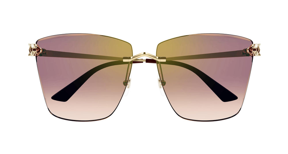 Cartier CT0397S 003 61