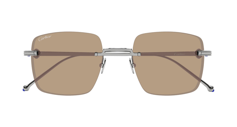 Cartier CT0403S 005 52