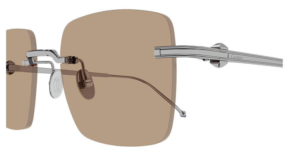 Cartier CT0403S 005 52