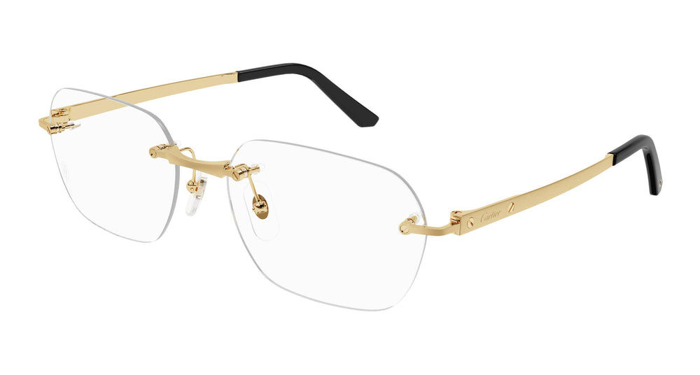 Cartier CT0407O 001 57