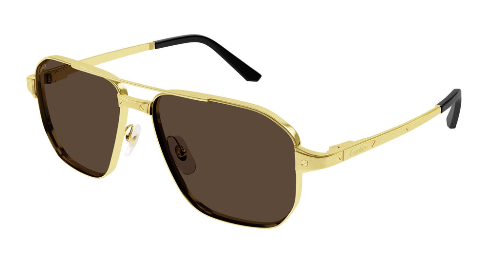 Cartier CT0424S 003 59