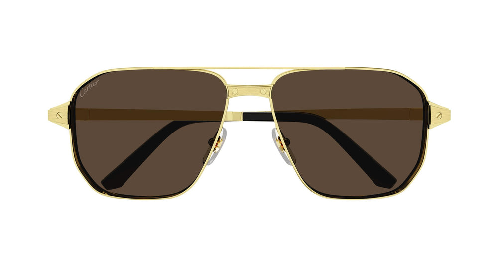 Cartier CT0424S 003 59