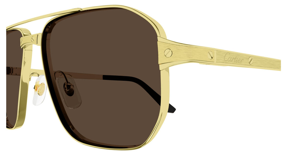 Cartier CT0424S 003 59