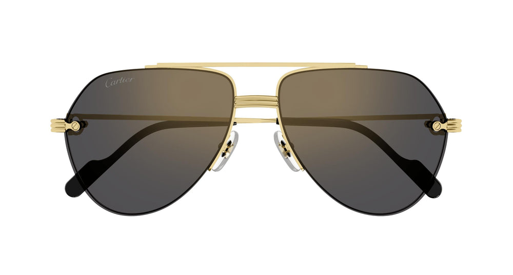 Cartier CT0427S 001 58