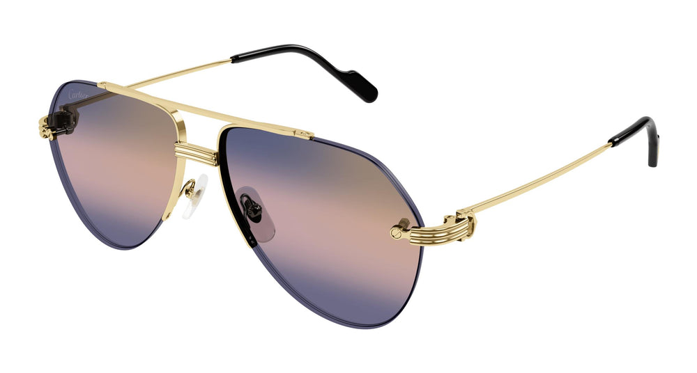 Cartier CT0427S 008 60
