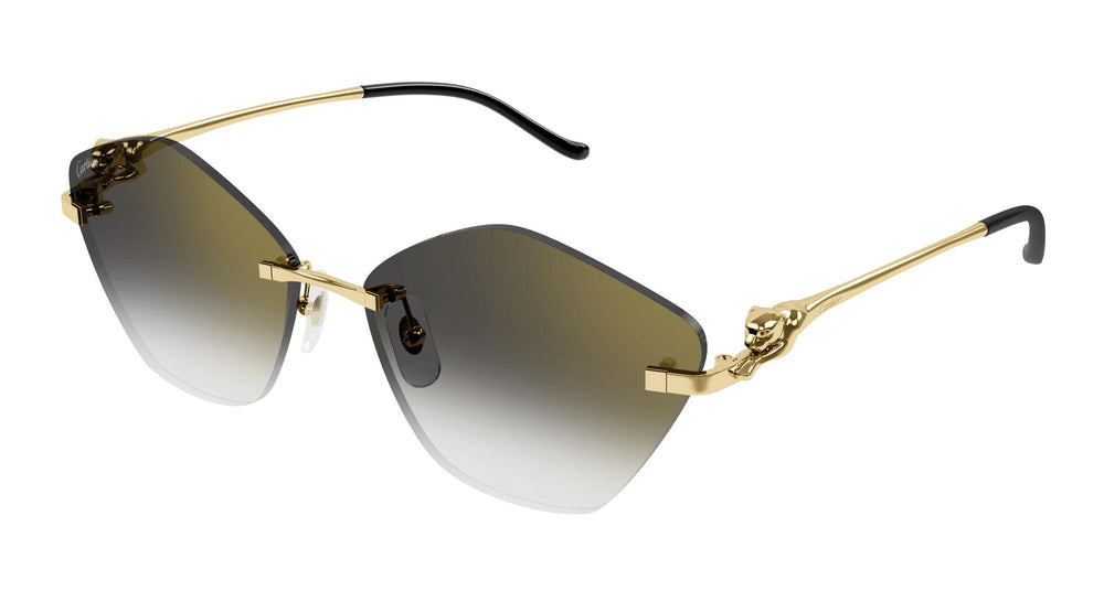 Cartier CT0429S 001 61