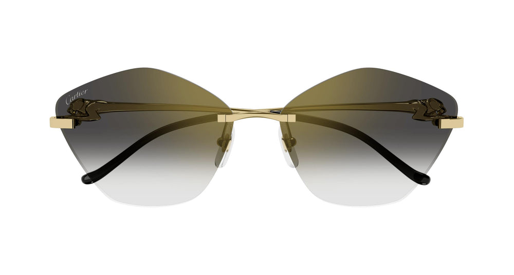 Cartier CT0429S 001 61