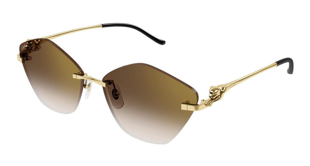 Cartier CT0429S 002 61