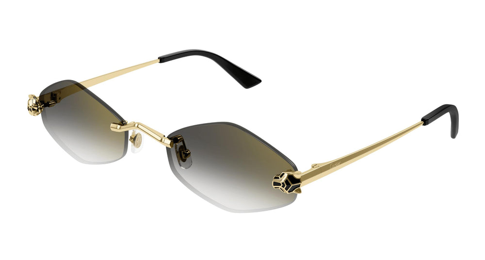 Cartier CT0433S 001 55