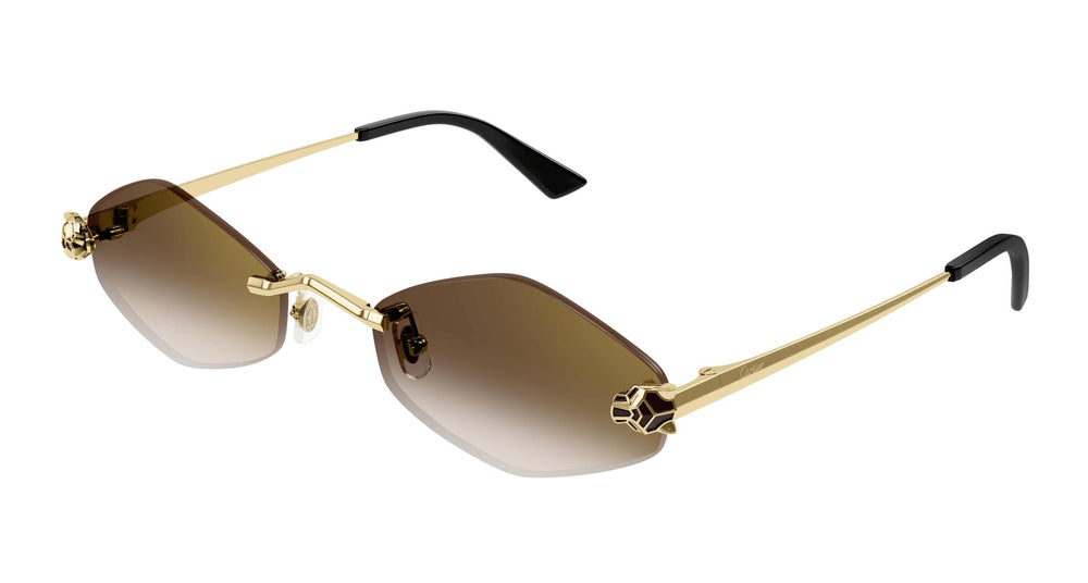 Cartier CT0433S 002 55