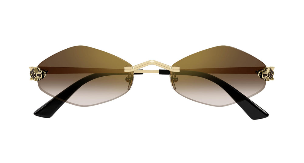 Cartier CT0433S 002 55