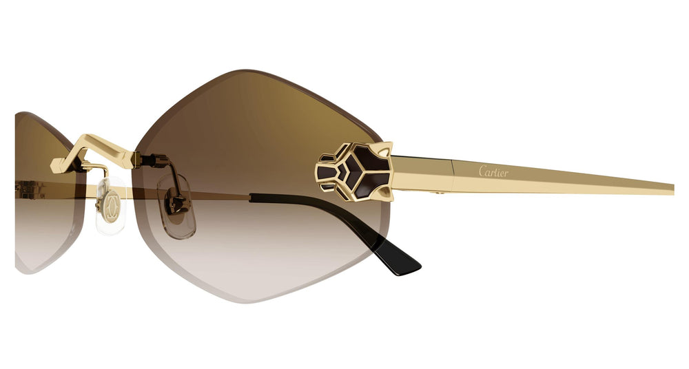 Cartier CT0433S 002 55
