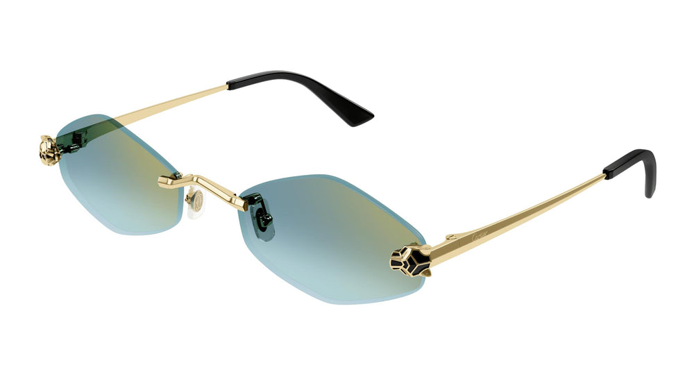 Cartier CT0433S 003 55