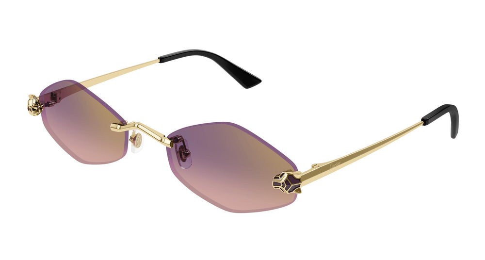 Cartier CT0433S 004 55
